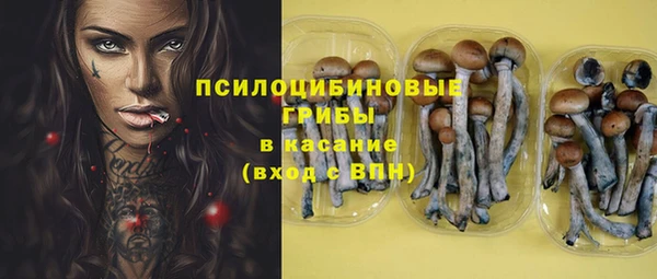 Альфа ПВП Покров