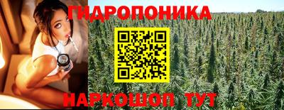 твердый Новокубанск
