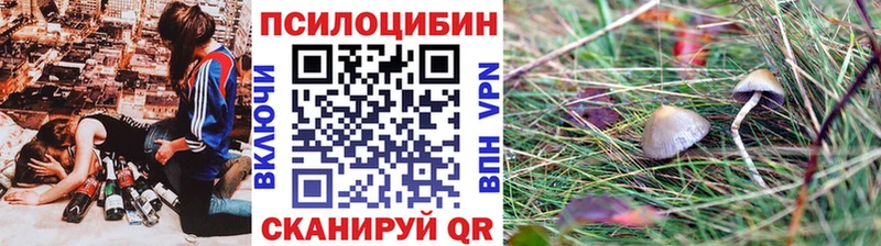 Псилоцибиновые грибы мицелий  Ялта 