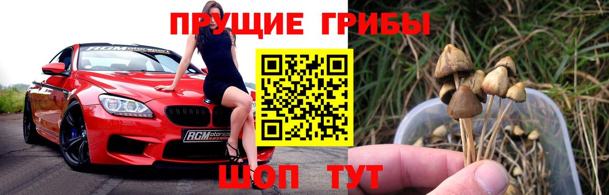 Псилоцибиновые грибы Cubensis  купить закладку  Ялта  Вход с VPN 