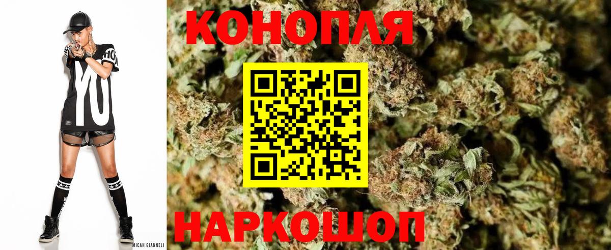 Конопля ГИДРОПОН Ялта